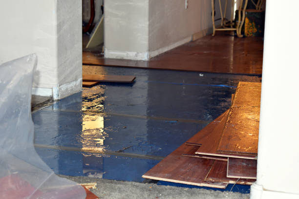 Professional Water Damage Restoration technician working in Snook, TX